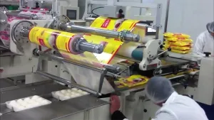Food Packaging Machine by Flow Wrapping