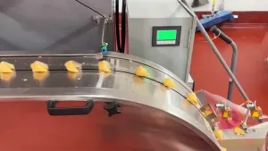 Servo Horizontal Flow Wrapper