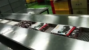 Trayless Horizontal Flow Wrapper