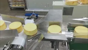 Horizontal Flow Pack Machine for Bakery Products