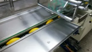 Flow Wrapper for Fruit Packaging
