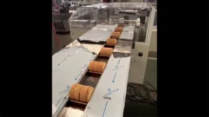 Crackers on Edge Packaging Machine