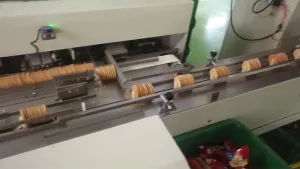 Double Chute Horizontal Flow Wrapper