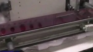 Horizontal Flow Wrapper with Heat Shrink Tunnel