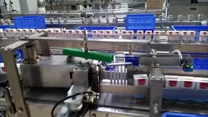 Horizontal Shrink Wrapper with Side Sealing