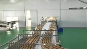 Horizontal Flow Wrapper with Automatic Feeding System