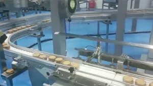 Automatic Biscuit Packaging Line