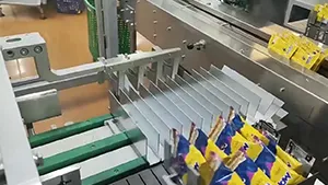 Automatic Secondary Packaging System