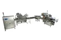 Automatic Biscuit Packaging Line