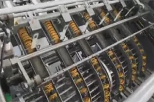 Automatic Biscuit Packaging Line