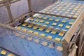 Automatic Noodle Packaging Line