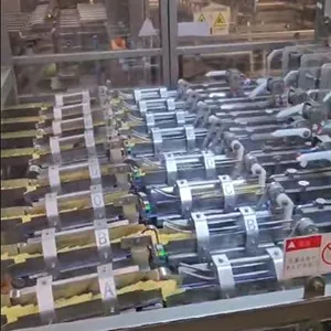 Automatic Stacked Chip Packaging Line