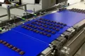 Automatic Wafer Packaging Line
