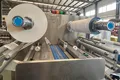 Flow Wrapping Machine, SF-EH
