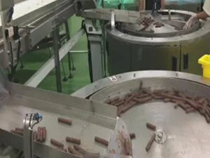 Automatic Flow Wrapper with Dual Bowl Feeder