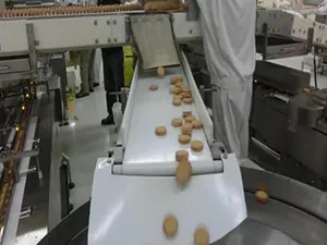 Automatic Flow Wrapper with Dual Bowl Feeder
